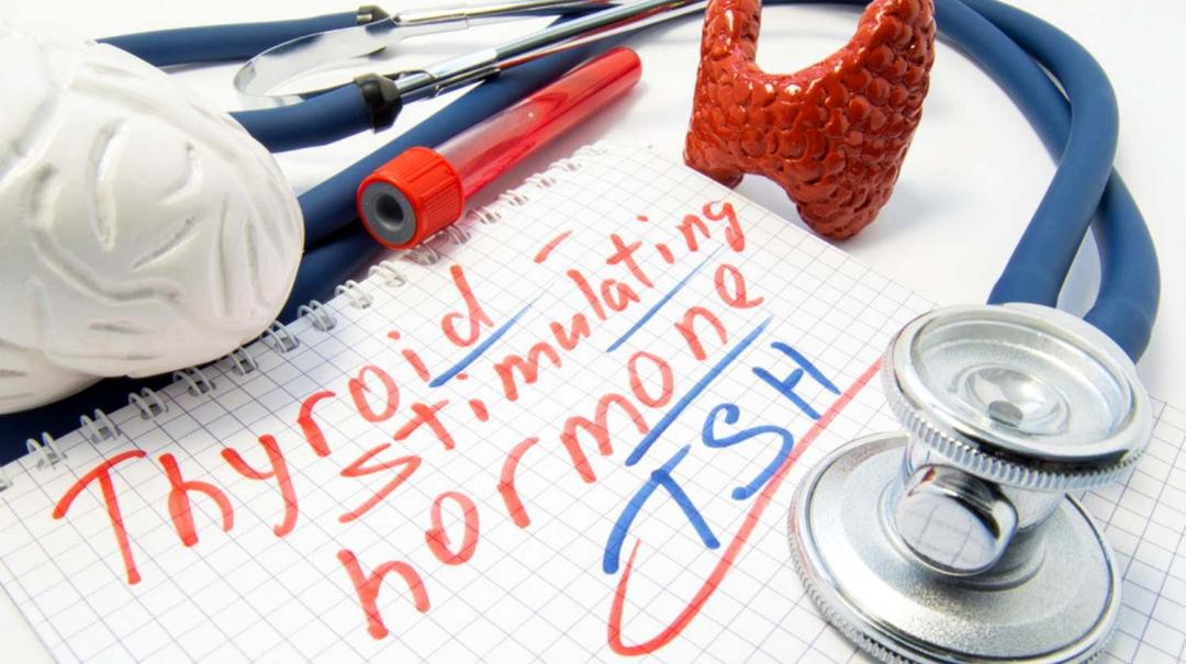 Thyroid Rapid (TSH) Test