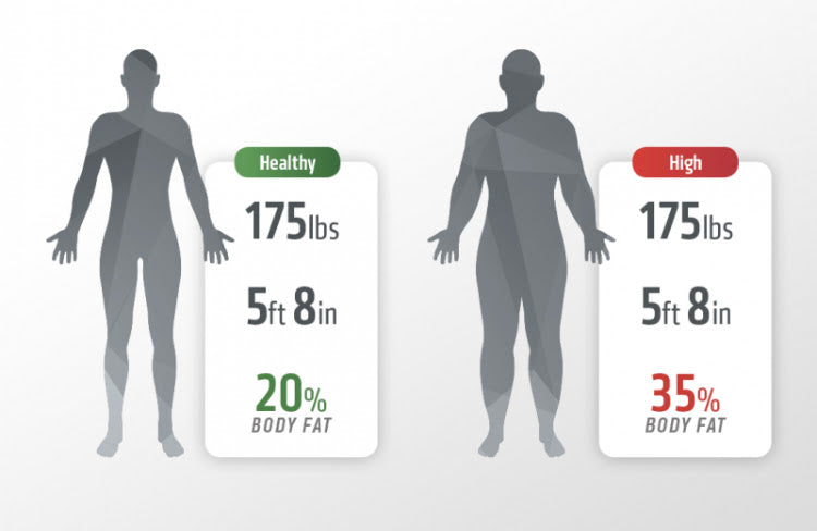 Body Composition Test